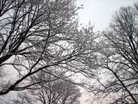 schnee100103-051.jpg