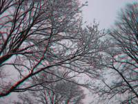 schnee100103-052-3D.jpg