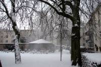 schnee100103-053.jpg
