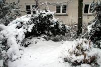 schnee100103-076.jpg