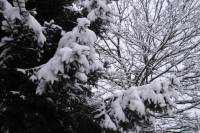schnee100103-091.jpg