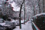 schnee100103-095-3D.jpg
