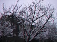 schnee100103-104-3D.JPG