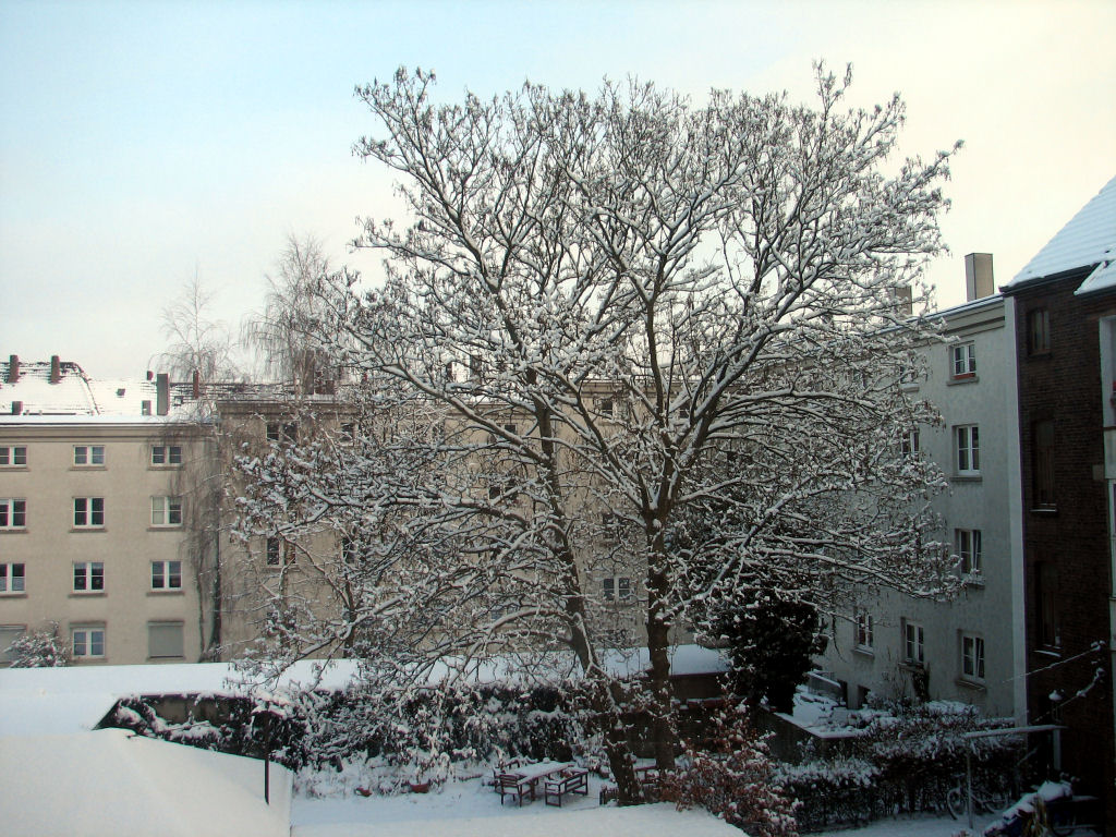 schnee100103-005.jpg
