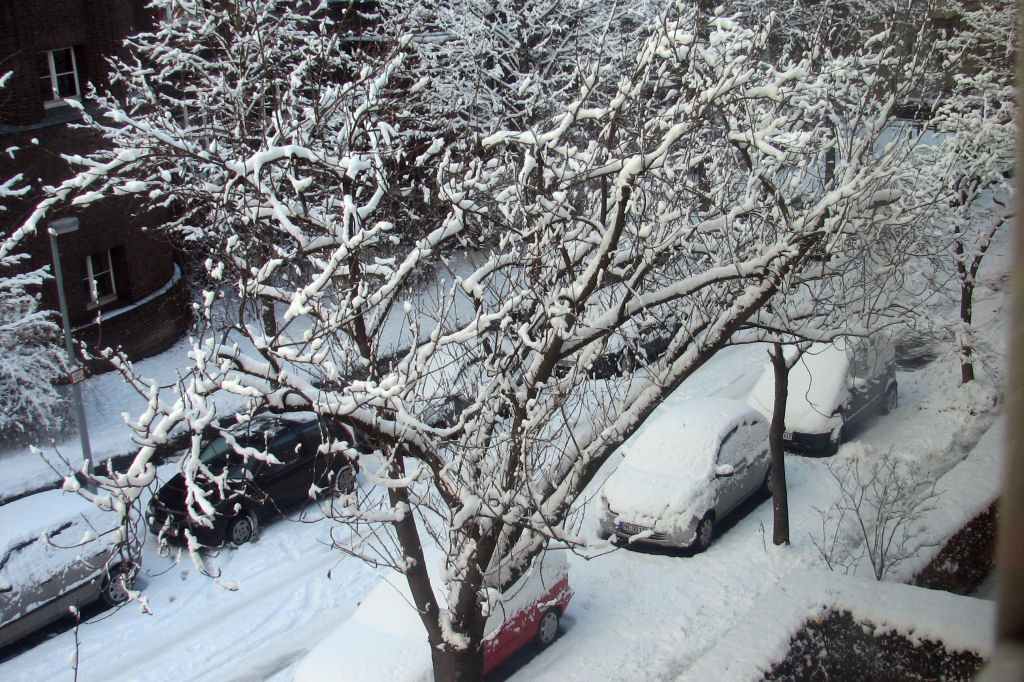 schnee100103-010.jpg