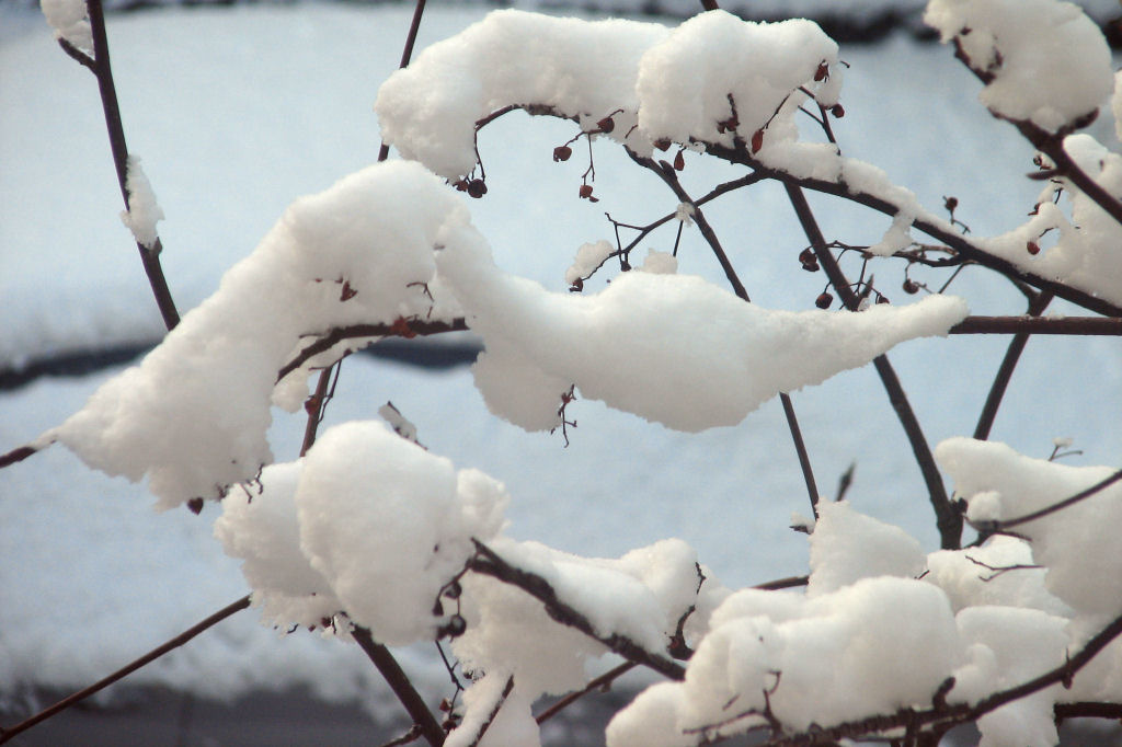 schnee100103-011.jpg