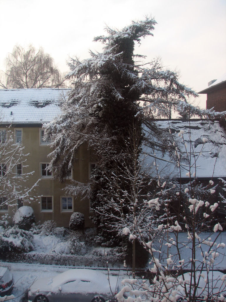 schnee100103-012.jpg