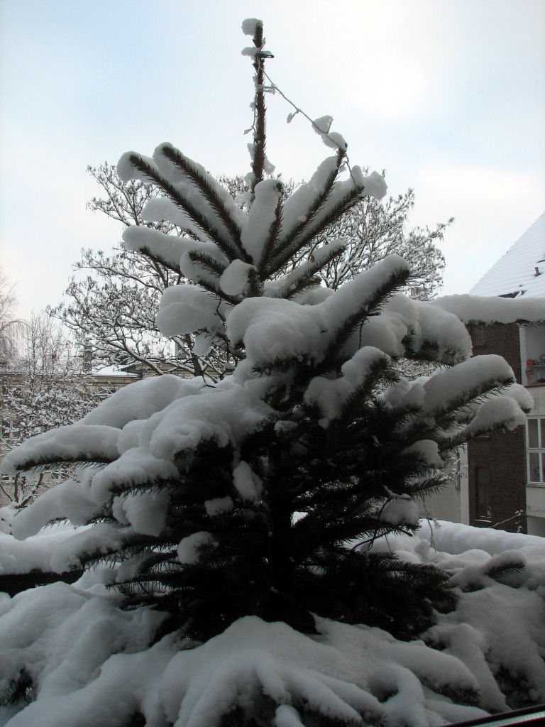 schnee100103-016.jpg