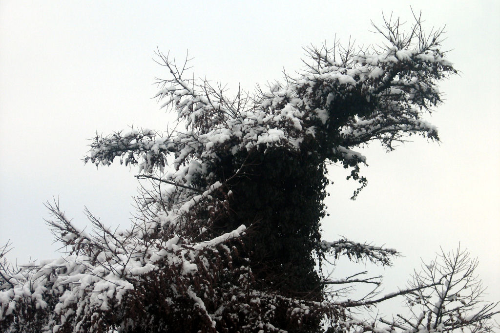 schnee100103-021.jpg