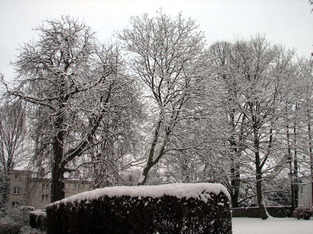 schnee100103-027.jpg