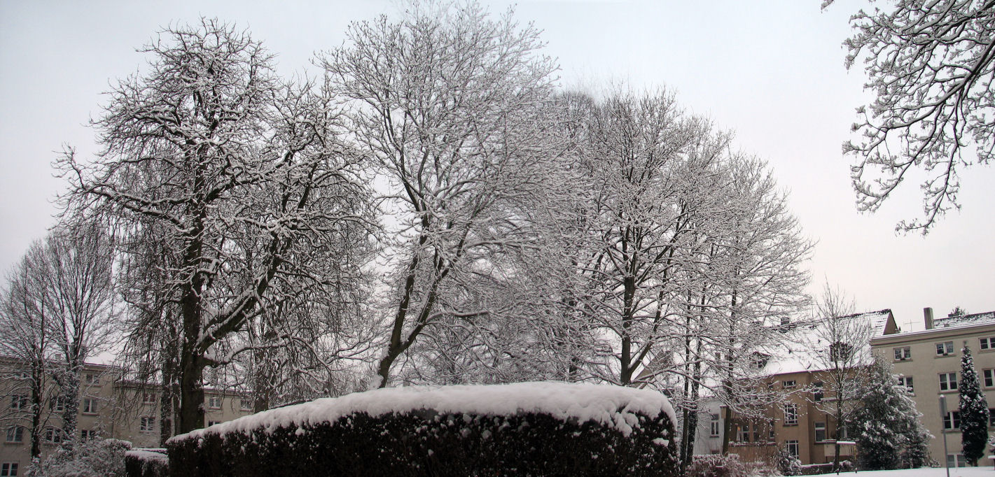 schnee100103-032-pan.jpg