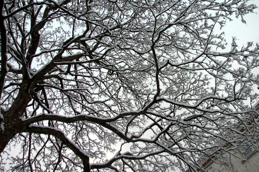schnee100103-034.jpg