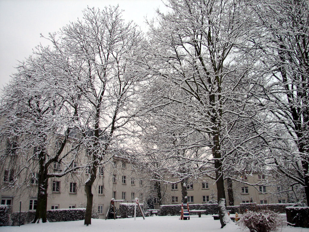 schnee100103-037.jpg