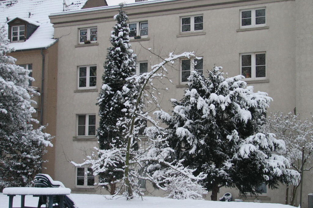 schnee100103-039.jpg