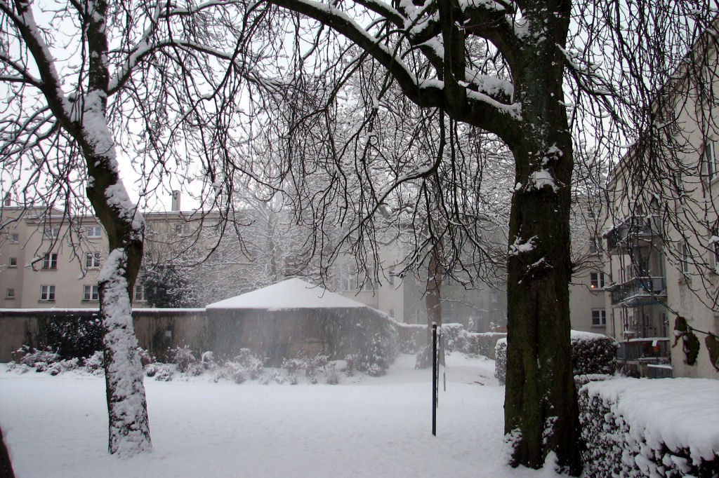 schnee100103-053.jpg