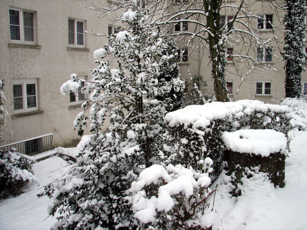 schnee100103-056.jpg