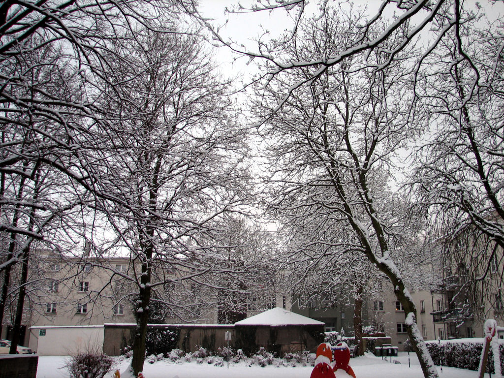 schnee100103-063.jpg