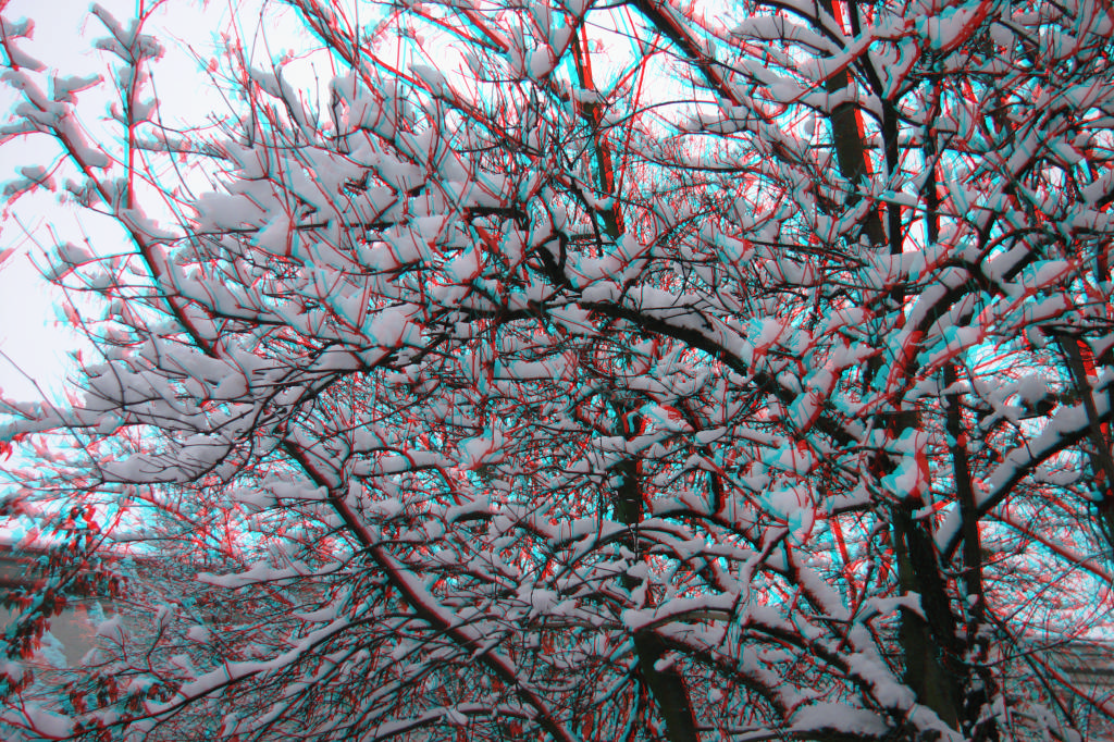 3D
