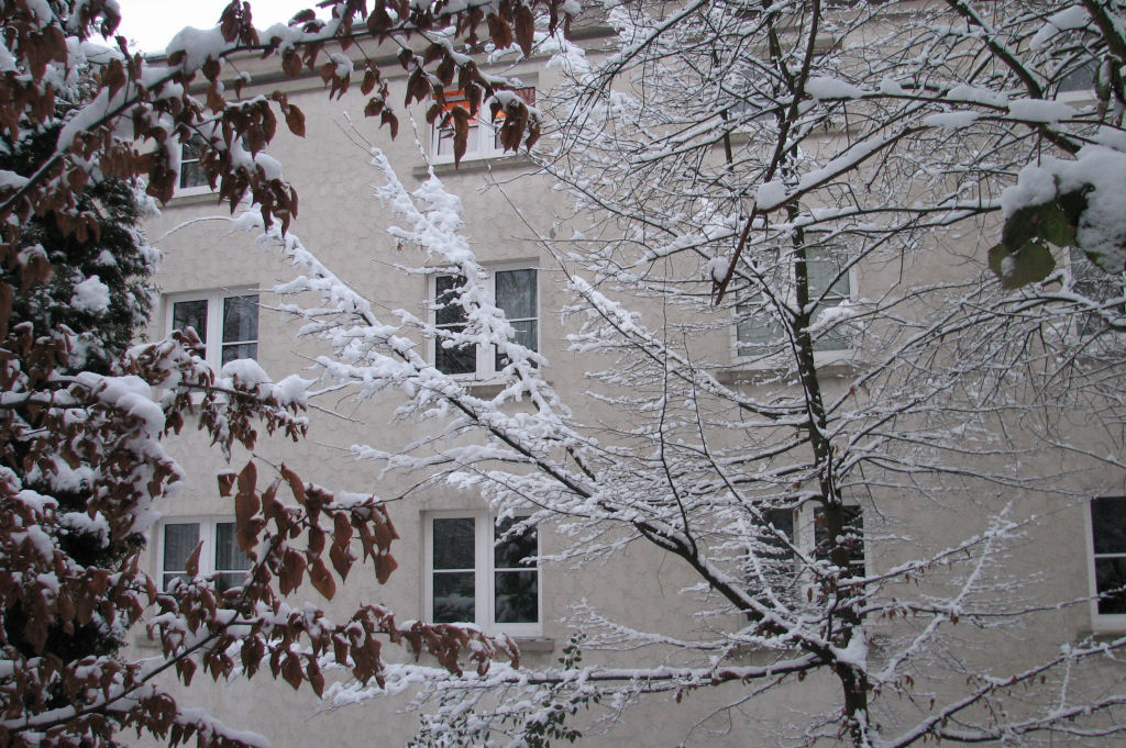 schnee100103-072.jpg