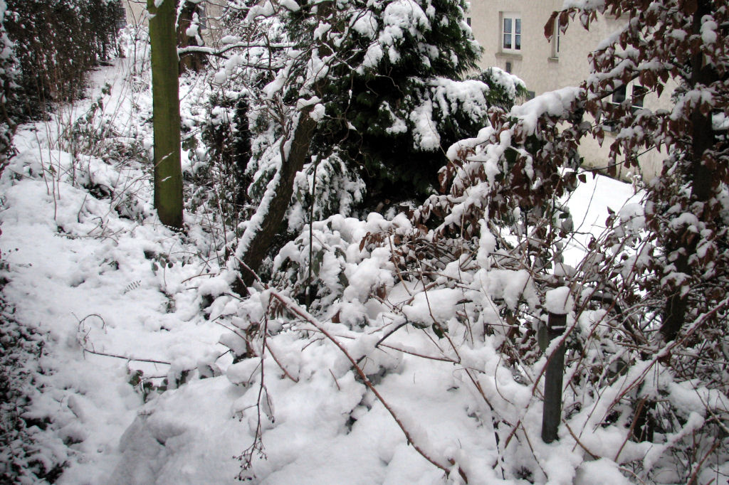 schnee100103-074.jpg