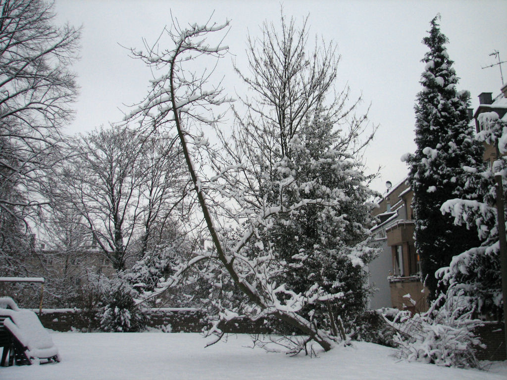 schnee100103-080.jpg