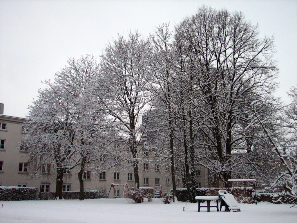 schnee100103-085.jpg