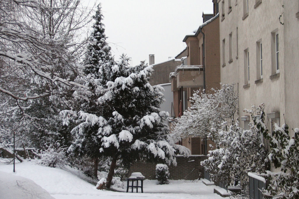 schnee100103-087.jpg