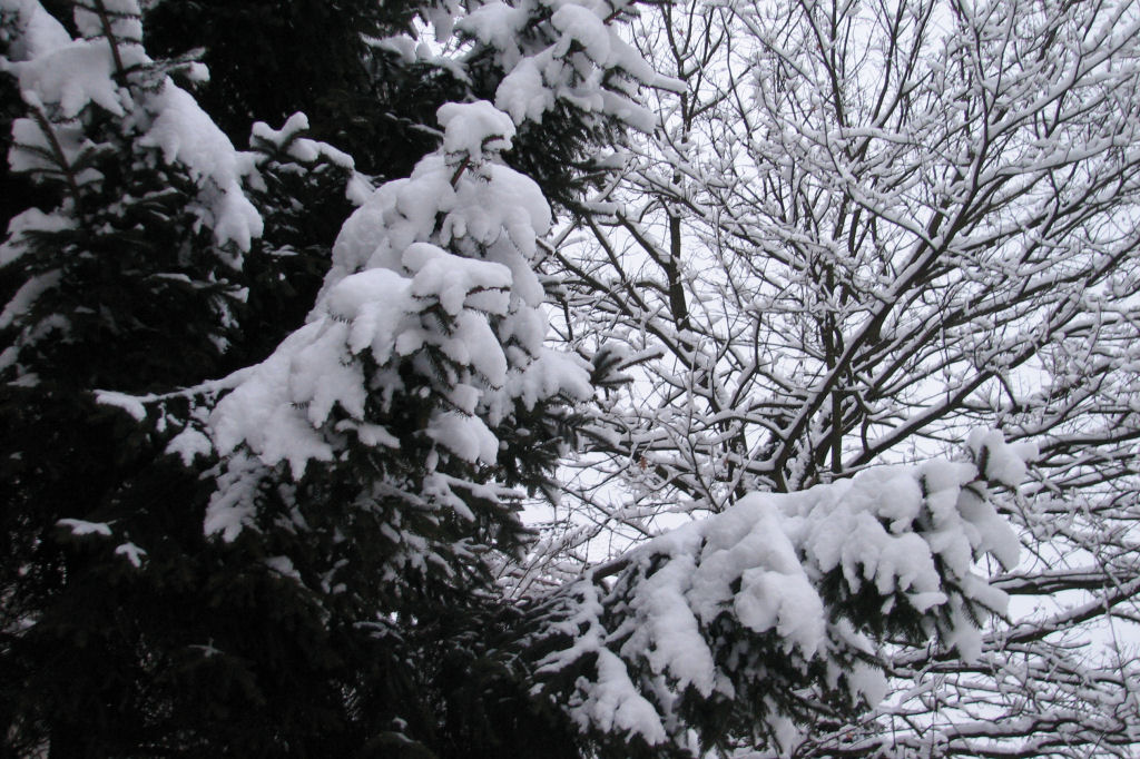 schnee100103-091.jpg