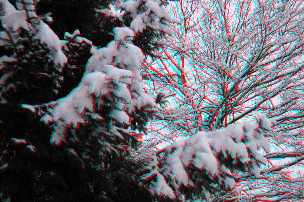 3D
