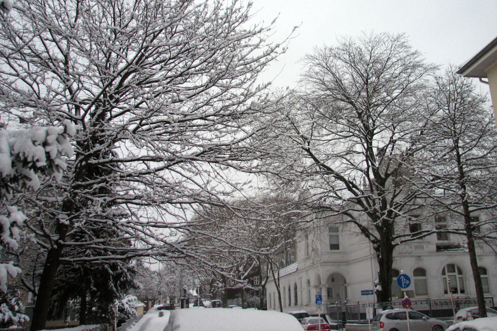 schnee100103-093.jpg