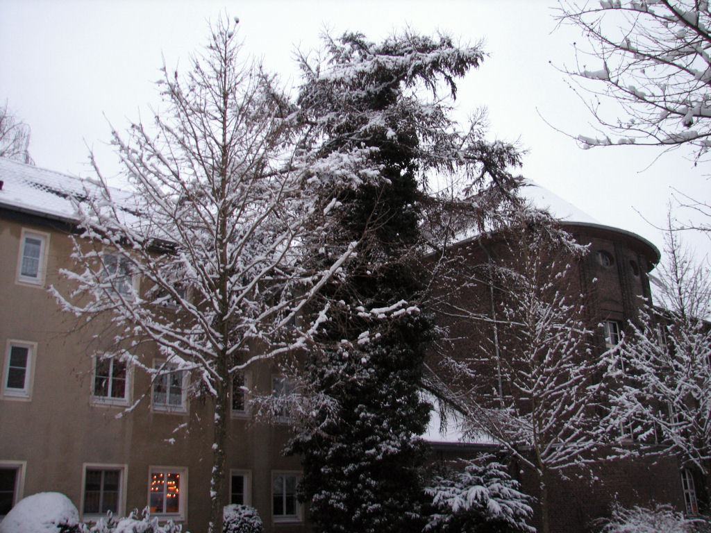 schnee100103-096.jpg