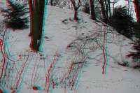 3D