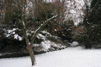 schnee100112-014.jpg