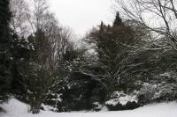 schnee100112-017.jpg