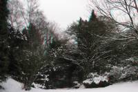 schnee100112-018-3d.jpg