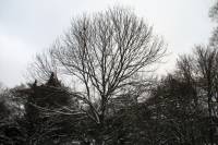 schnee100112-019.jpg