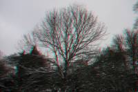 schnee100112-020-3d.jpg