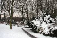 schnee100112-021.jpg