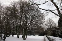schnee100112-023.jpg