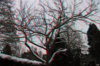 3D
