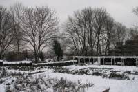 schnee100112-040.jpg