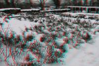 schnee100112-043-3d.jpg