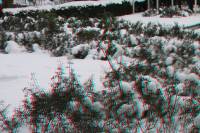 schnee100112-049-3d.jpg