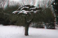 schnee100112-051-3d.jpg