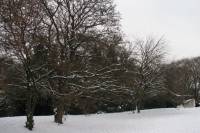 schnee100112-054.jpg