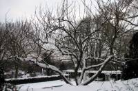 schnee100112-057.jpg