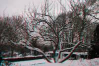 schnee100112-058-3d.jpg