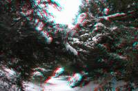 3D