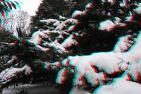3D