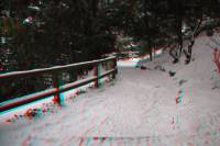 schnee100112-097-3d.jpg
